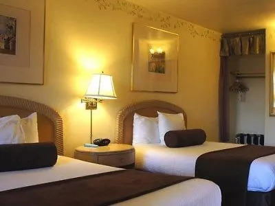 Best Western Downtown Hotel