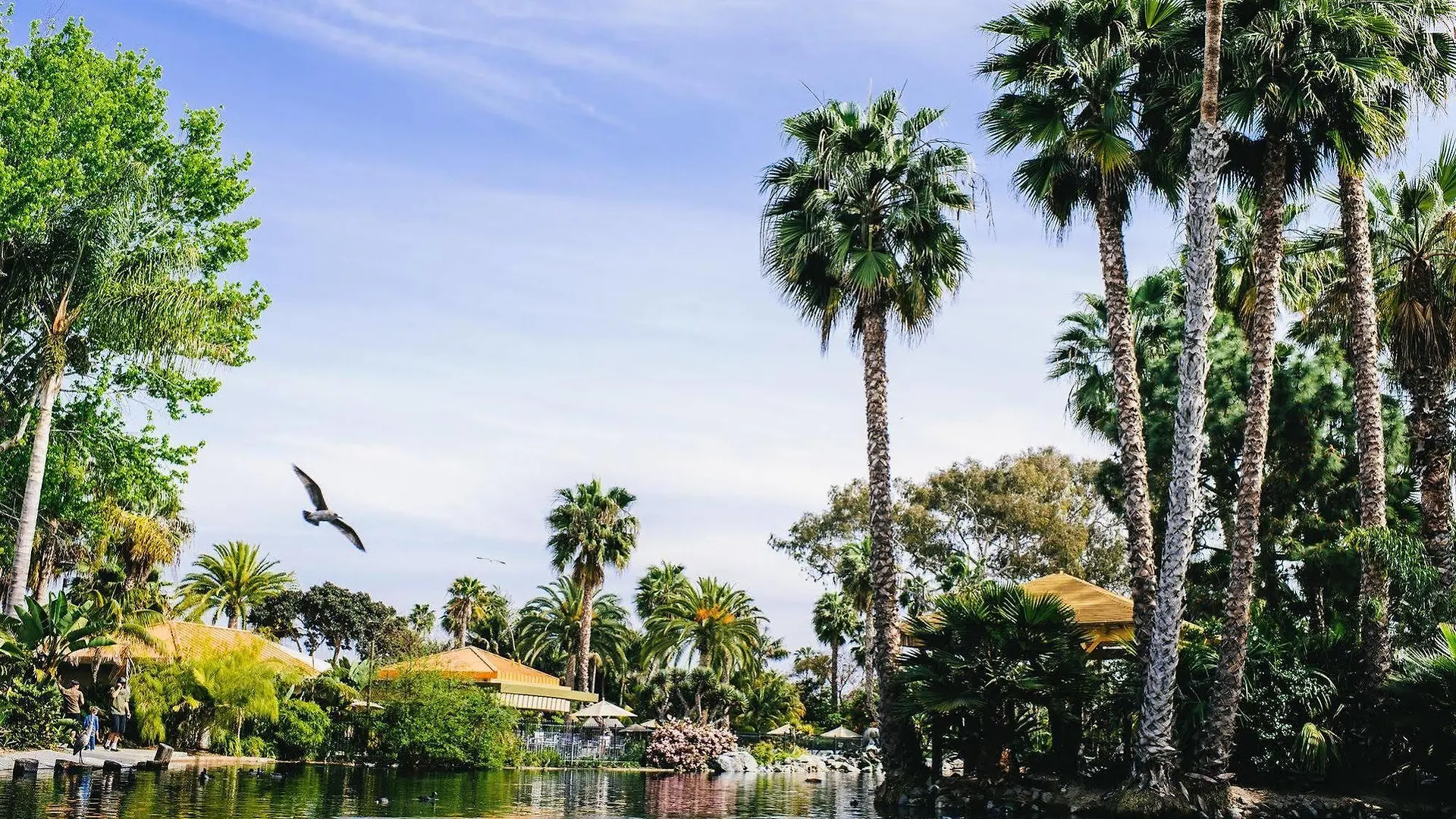 Paradise Point & Spa 4* San Diego