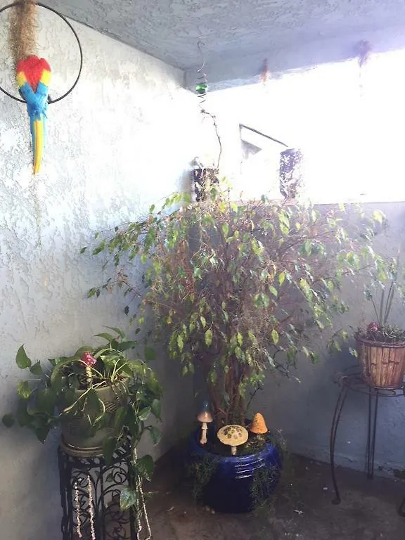 Pacific Butterfly Appartement